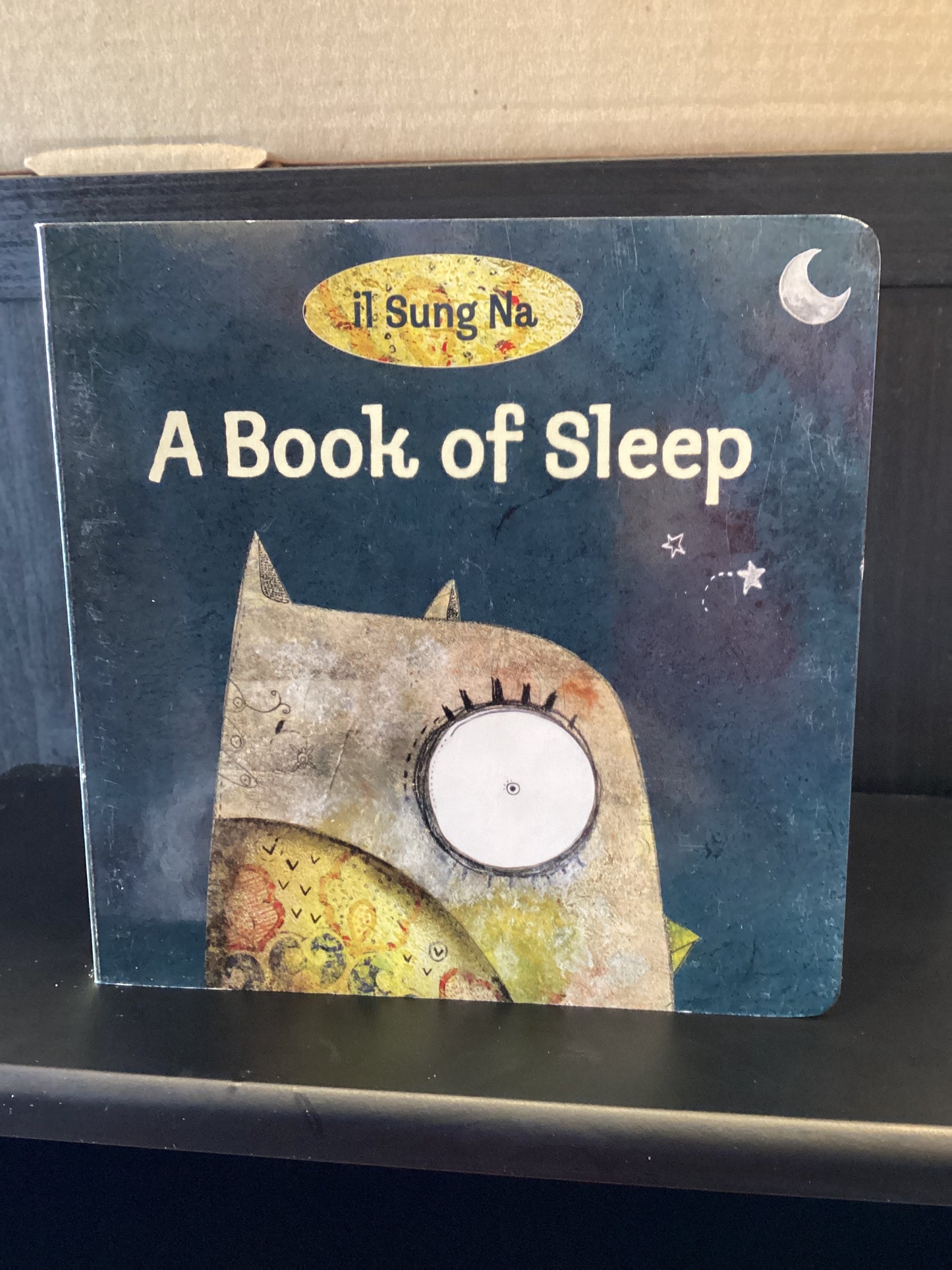 A Book of Sleep Book